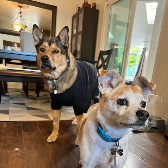 This is Me! - Picture 3 of 3